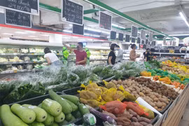Ảnh minh họa. (Nguồn: Ảnh: Phương Anh/TTXVN)