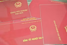 TP.HCM: Triệt phá băng nhóm làm hàng nghìn bằng cấp giả các loại