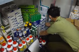 TP. Hồ Chí Minh: Phát hiện số lượng lớn thuốc tân dược nghi nhập lậu