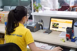 Đưa thông tin hộ sản xuất nông nghiệp lên sàn thương mại điện tử
