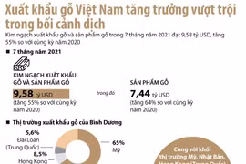 [Infographics] Kim ngạch xuất khẩu gỗ và sản phẩm gỗ đạt 9,58 tỷ USD