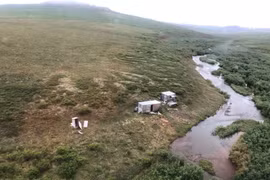 Mỹ: Giải cứu thành công người bị gấu xám tấn công tại Alaska