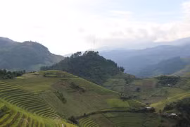 Đỉnh Dề Thàng, xã Chế Cu Nha, huyện Mù Cang Chải là một trong những địa điểm săn mây và ngắm ruộng bậc thang mùa lúa chín. (Ảnh: Tiến Khánh/TTXVN)