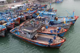Ngư dân là những cột mốc sống khẳng định chủ quyền trên biển. (Ảnh: Trần Lê Lâm/TTXVN)