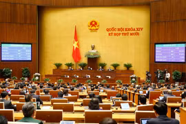 Quốc hội biểu quyết thông qua Luật Bảo vệ môi trường (sửa đổi). (Ảnh: Doãn Tấn/TTXVN)