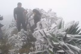 [Video] Mùa Đông miền Bắc năm nay sẽ đến sớm và lạnh hơn