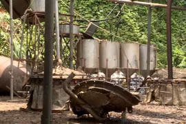 Yên Bái: Nổ nồi hơi chưng cất tinh dầu quế làm hai người thương vong