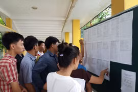 Thí sinh xem thông tin tuyển sinh đại học. (Ảnh: PM/Vietnam+)