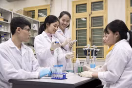 Sinh viên thực hiện thí nghiệm vật lý tại Đại học Quốc gia Hà Nội. (Ảnh: PV/Vietnam+)