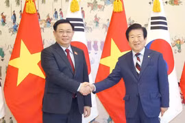 Việt-Hàn hướng tới nâng tầm quan hệ đối tác chiến lược toàn diện