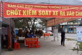Cà Mau trở lại vùng xanh trước thềm Tết Nguyên đán Nhâm Dần
