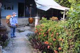 Tổ chức Y tế Thế giới khuyến cáo biện pháp phòng bệnh sốt xuất huyết