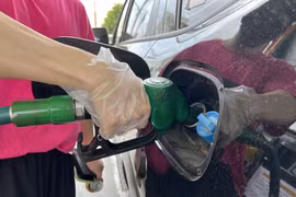 Tổng Thư ký OPEC dự báo nhu cầu dầu mỏ sẽ tiếp tục phục hồi