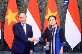 Chủ tịch nước: Quan hệ Việt Nam-Indonesia ngày càng phát triển mạnh mẽ