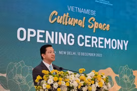 Việt Nam-Ấn Độ tăng cường đường bay thẳng, thúc đẩy hợp tác du lịch