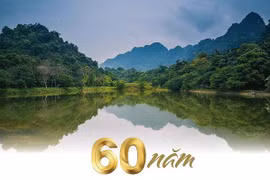 [Infographics] Cúc Phương - Vườn quốc gia đầu tiên của Việt Nam