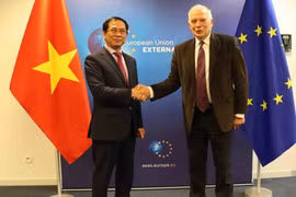 Bộ trưởng Bùi Thanh Sơn gặp Phó Chủ tịch Ủy ban châu Âu Josep Borrell
