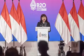 Phó Chủ tịch Kadin: Indonesia và Việt Nam còn nhiều tiềm năng hợp tác