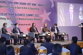 Nhiều lĩnh vực tiềm năng của Việt Nam thu hút dòng vốn đầu tư từ Mỹ
