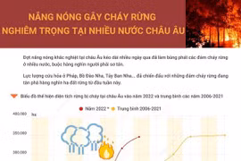 Nắng nóng gây cháy rừng nghiêm trọng tại nhiều nước châu Âu