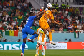 World Cup 2022: Tiền đạo Cody Gakpo - “Thần tài” của tuyển Hà Lan