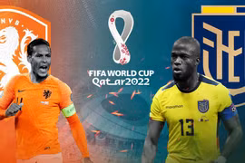 World Cup 2022: Bảng A - Hà Lan và Ecuador tranh nhau vé đi tiếp