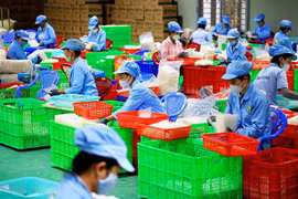 ASEAN+3 cam kết đảm bảo công việc ổn định cho tất cả mọi người. (Ảnh: Hồng Đạt/TTXVN)