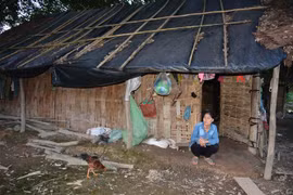 Hoàn cảnh khó khăn của gia đình bà Trương Thị Hoa, thôn 6B, xã Cư Elang, huyện Ea Kar - là hộ nghèo năm 2019 của xã nhưng không được nhận tiền hỗ trợ. (Ảnh: Hoài Thu/TTXVN)