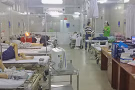 (Ảnh minh họa: TTXVN phát)