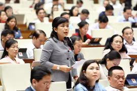 Đại biểu Quốc hội tỉnh Quảng Ninh Nguyễn Thị Thu Hà phát biểu. (Ảnh minh họa: Phạm Kiên/TTXVN)