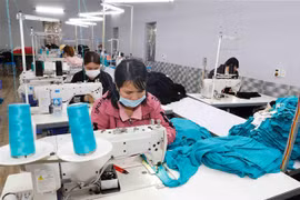 Việt Nam có thể đóng góp vào sự tăng trưởng, duy trì ổn định kinh tế và hòa bình trong khu vực.. (Ảnh minh họa: Trần Việt/TTXVN)