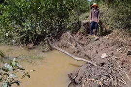 Nước tràn qua gây ngập ruộng rẫy tại Sóc Trăng. (Ảnh: Trung Hiếu/TTXVN)