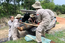 Đội rà phá bom mìn lưu động số 1 thuộc Tổ chức Cây hòa bình Việt Nam xử lý an toàn một quả bom lớn với trọng lượng khoảng 227kg, đường kính 274mm, chiều dài 1,54m được phát hiện tại mỏ đá thôn Lương Lễ, xã Tân Hợp, huyện miền núi Hướng Hóa, tỉnh Quảng Trị