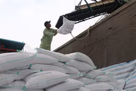 Bốc xếp gạo xuất khẩu. (Ảnh: Công Mạo/TTXVN)