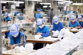 Ảnh minh họa. (Đức Duy/Vietnam+)