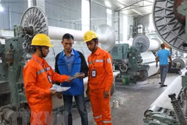 Công nhân Tổng Công ty Điện lực Hà Nội tuyên truyền tiết kiệm điện, sử dụng điện an toàn và hiệu quả cho các hộ sản xuất trên địa bàn huyện Thanh Oai. (Ảnh: Ngọc Hà/TTXVN) 