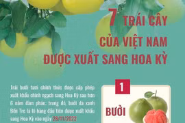 [Infographics] 7 trái cây của Việt Nam được xuất sang Hoa Kỳ