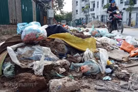 Ảnh minh họa. (Nguồn: Vietnam+)