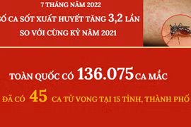 [Infographics] Số ca sốt xuất huyết tăng 3,2 lần so cùng kỳ năm ngoái