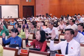 Các đại biểu HĐND Thành phố Hồ Chí Minh khóa X quyết nghị thông qua Nghị quyết Kỳ họp. (Ảnh: Xuân Khu/TTXVN)