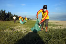 Lực lượng cứu hộ bãi biển tham gia thu dọn rác thải nhựa tại các bãi biển ở Đà Nẵng. (Ảnh: Trần Lê Lâm/TTXVN)
