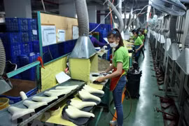 Dây chuyền sản xuất yên xe đạp xuất khẩu tại Công ty Pro Active Global Việt Nam, vốn đầu tư của Đài Loan (Trung Quốc) tại Khu công nghiệp Đại Năng, Bình Dương. (Ảnh: Danh Lam/TTXVN) 