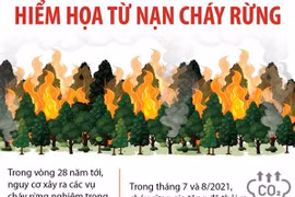 [Infographics] Hiểm họa từ nạn cháy rừng trên khắp thế giới