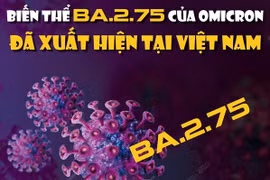 [Infographics] Biến thể BA.2.75 của Omicron đã xuất hiện tại Việt Nam