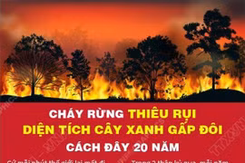 Cháy rừng thiêu rụi diện tích cây xanh gấp đôi cách đây 20 năm