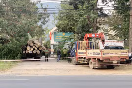 Đồng Nai: Khởi tố vụ án hình sự về hành vi chặt phá rừng phòng hộ