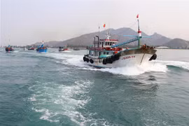 Đội tàu cá tỉnh Ninh Thuận. (Ảnh: Nguyễn Thành/TTXVN)