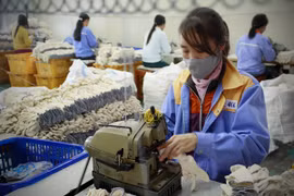 Có tới 76% doanh nghiệp không biết về cộng đồng kinh tế ASEAN