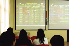 VN-Index lao dốc mất 25 điểm. (Ảnh minh họa. Nguồn: TTXVN) 