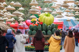 Nhiều du khách khi ghé thăm phiên chợ Tết tại khu đô thị Ecopark vào dịp cuối tuần không khỏi bất ngờ khi thấy một mâm ngũ quả khổng lồ nằm giữa lối đi. (Ảnh: Minh Sơn/Vietnam+)